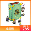 Harry Potter Hogwarts Magic Potion Defense Building Set